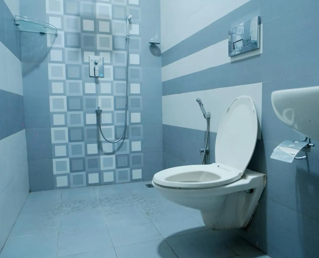 Metropolitan Serviced Villa Kochi 0*,